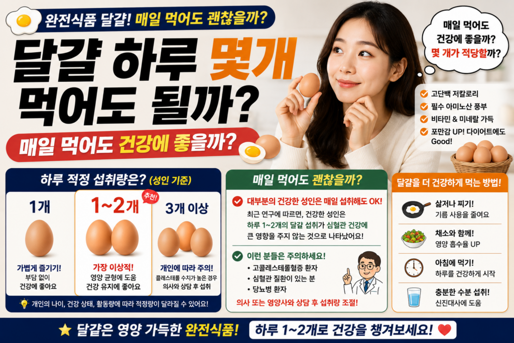 달걀 하루 몇개 먹어도 될까? 매일 먹어도 괜찮을까?